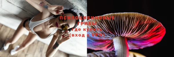 тгк Козловка