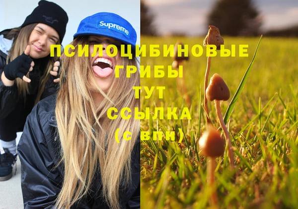 кристаллы Кодинск