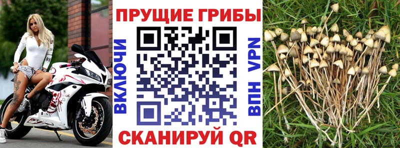 Галлюциногенные грибы мухоморы  МЕГА ONION  Конаково  купить наркотики сайты 