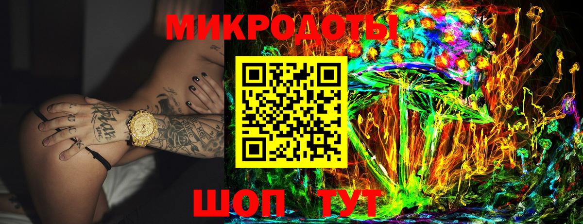 Псилоцибиновые грибы Psilocybe Конаково