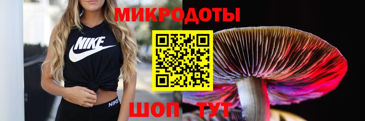 Конаково  Галлюциногенные грибы Psilocybe  Вход с VPN 